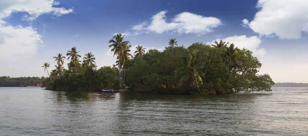 Vinis Farm - A Private Island Stay -Privacy Redefined !!! Mundrothuruth Bagian luar foto
