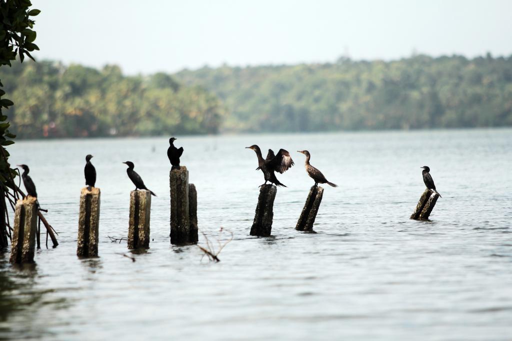 Vinis Farm - A Private Island Stay -Privacy Redefined !!! Mundrothuruth Bagian luar foto